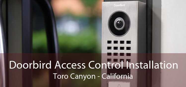 Doorbird Access Control Installation Toro Canyon - California