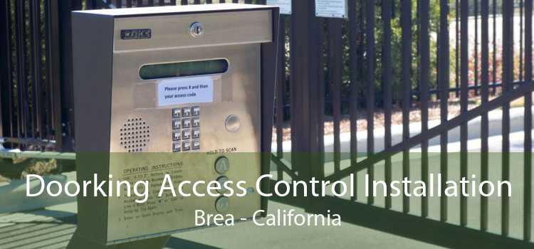 Doorking Access Control Installation Brea - California