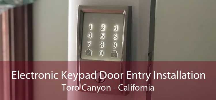 Electronic Keypad Door Entry Installation Toro Canyon - California