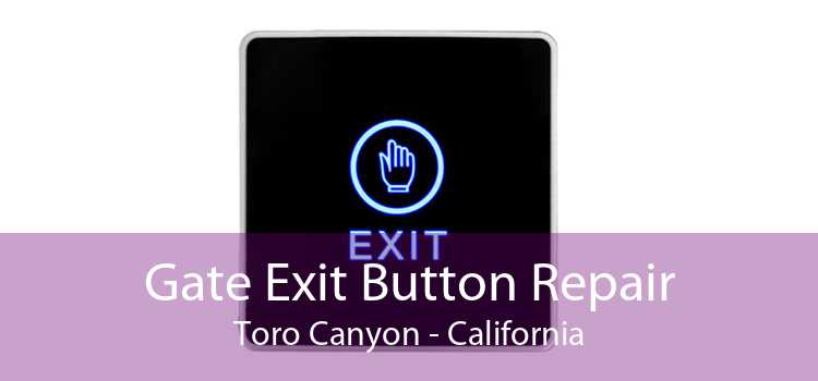 Gate Exit Button Repair Toro Canyon - California