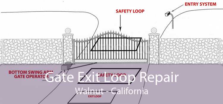 Gate Exit Loop Repair Walnut - California