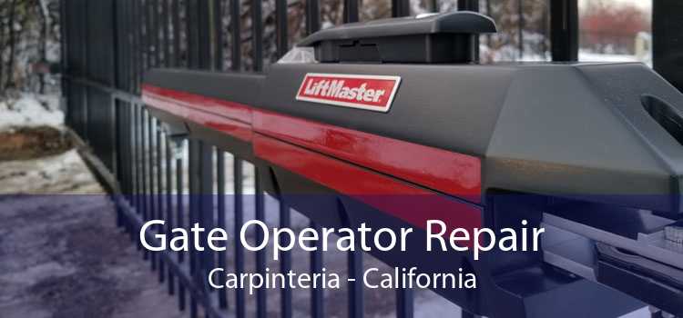 Gate Operator Repair Carpinteria - California