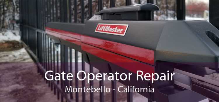 Gate Operator Repair Montebello - California