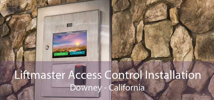 Liftmaster Access Control Installation Downey - California