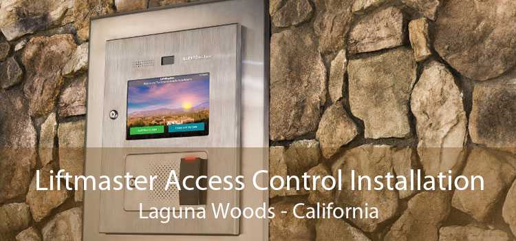 Liftmaster Access Control Installation Laguna Woods - California