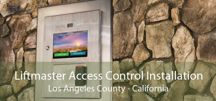 Liftmaster Access Control Installation Los Angeles County - California