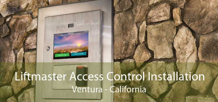 Liftmaster Access Control Installation Ventura - California