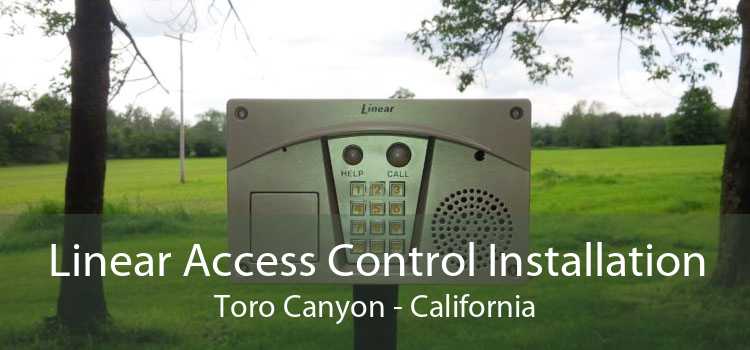 Linear Access Control Installation Toro Canyon - California