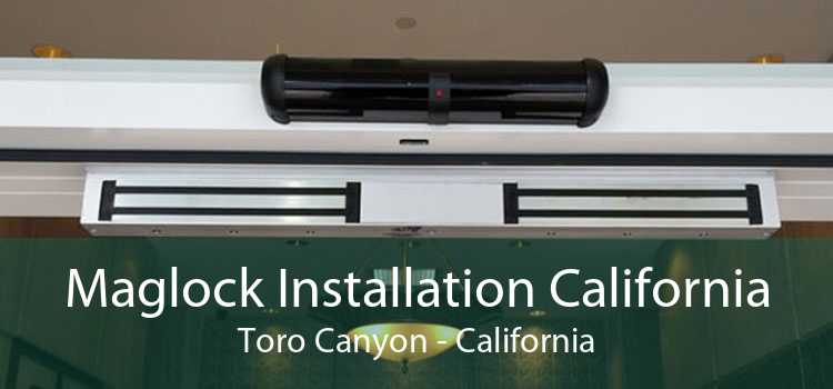 Maglock Installation California Toro Canyon - California