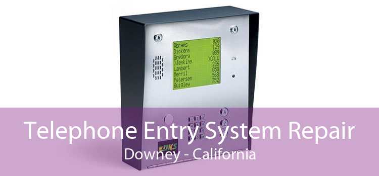 Telephone Entry System Repair Downey - California