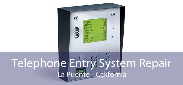 Telephone Entry System Repair La Puente - California