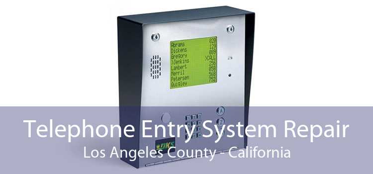 Telephone Entry System Repair Los Angeles County - California