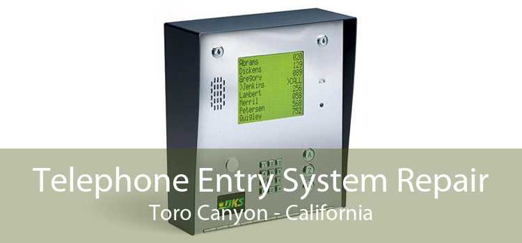 Telephone Entry System Repair Toro Canyon - California